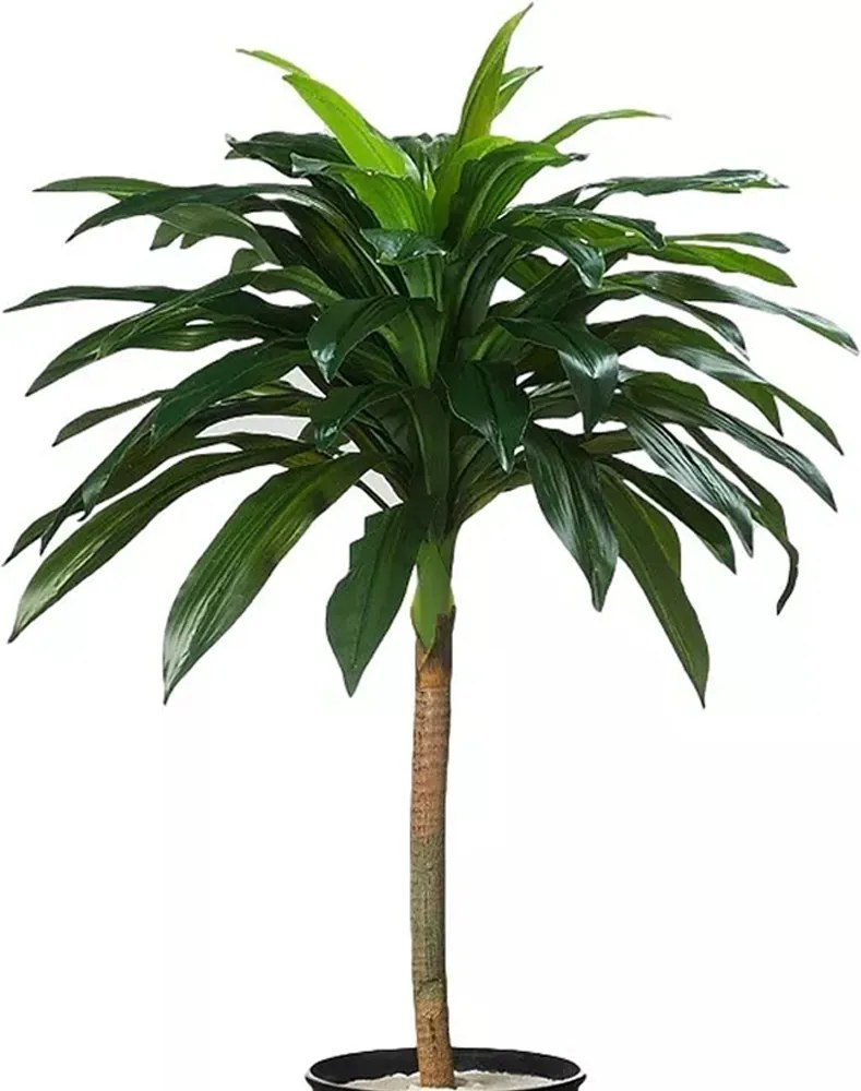 Árvore Dracena Pau D'Água 110cm Planta Artificial