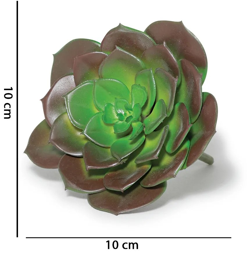 Suculenta Permanente 10 x 10cm M02 - D'Rossi