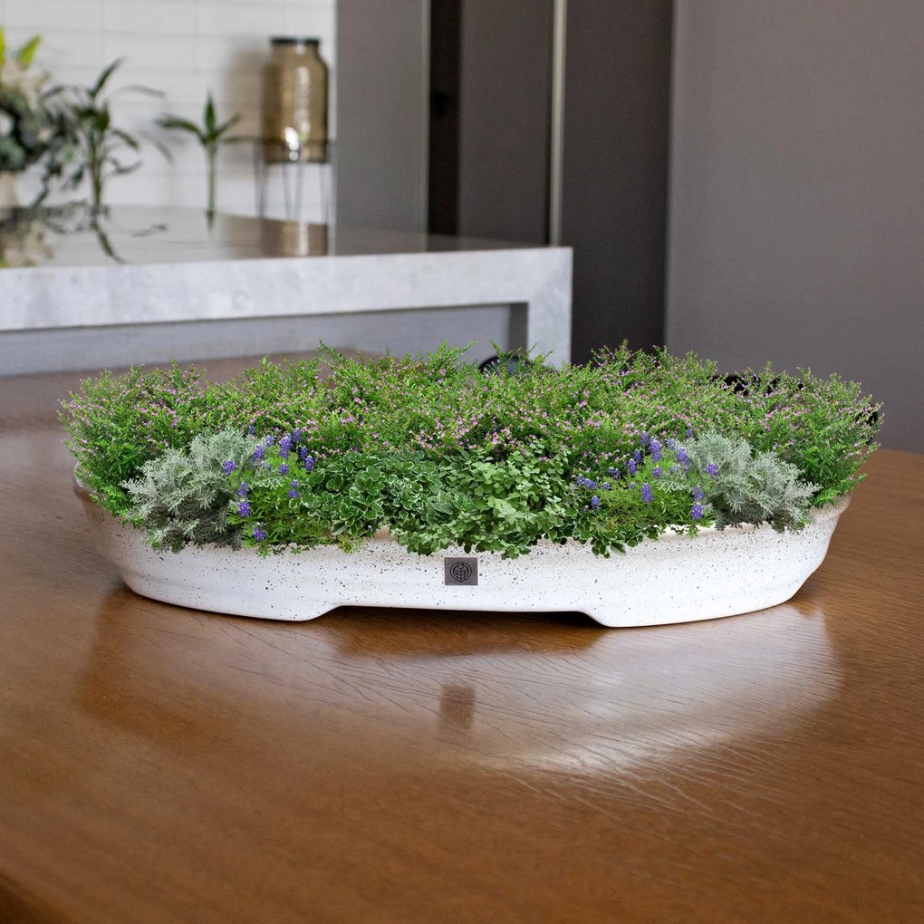 Vaso Bacia Decorativo Osaka Branco Gold Viatnamita p 7x46x35 Cm B02 - D'Rossi