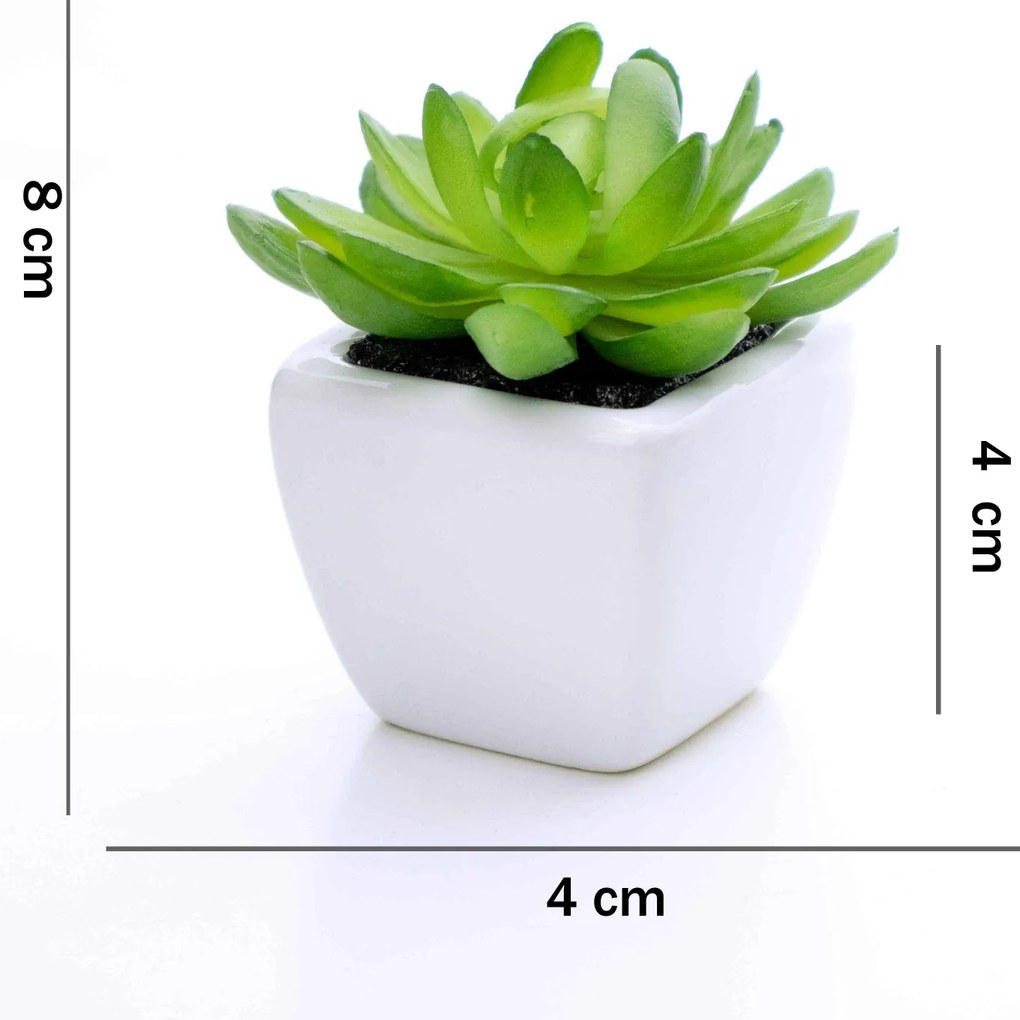 Kit 06 Suculentas Artificial Sortida Vaso Branco 8x4 Cm - D'Rossi
