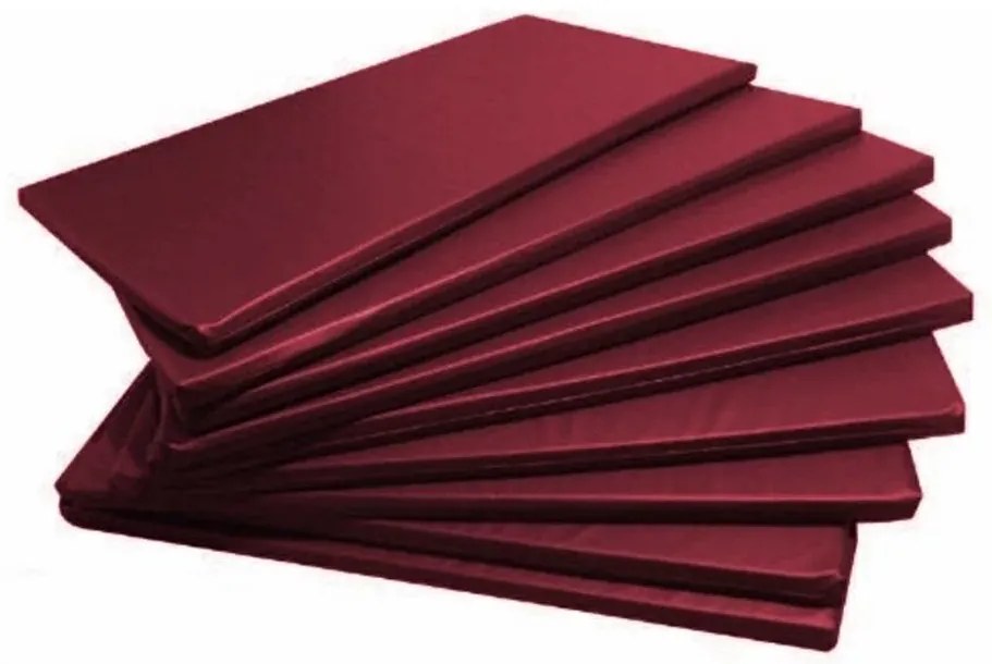 Kit 5 Colchonetes Gin�Stica, Academia E Yoga - 90 X 40 X 3 (Vinho)
