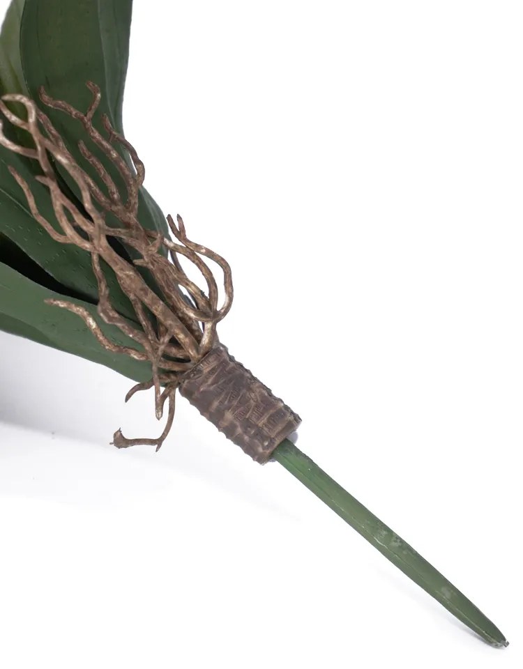 Folha Artificial Agave com Raiz X13 para Arranjos Verde 25 cm F04 - D'Rossi