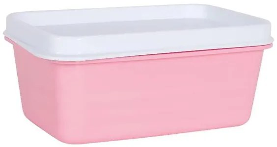 Pote Hermético Sortido 250 Ml