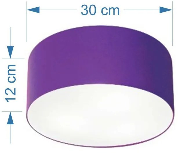 Plafon Para Home Cilíndrico SH-3010 Cúpula Cor Roxo