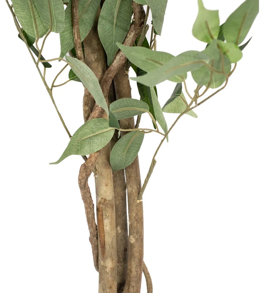 Planta Artificial Ficus Tronco Real Toque X1008 Verde 210 cm F04 - D'Rossi