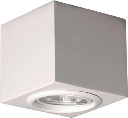 Plafon Sobrepor Orientavel Aluminio Par20 7W - BRANCO