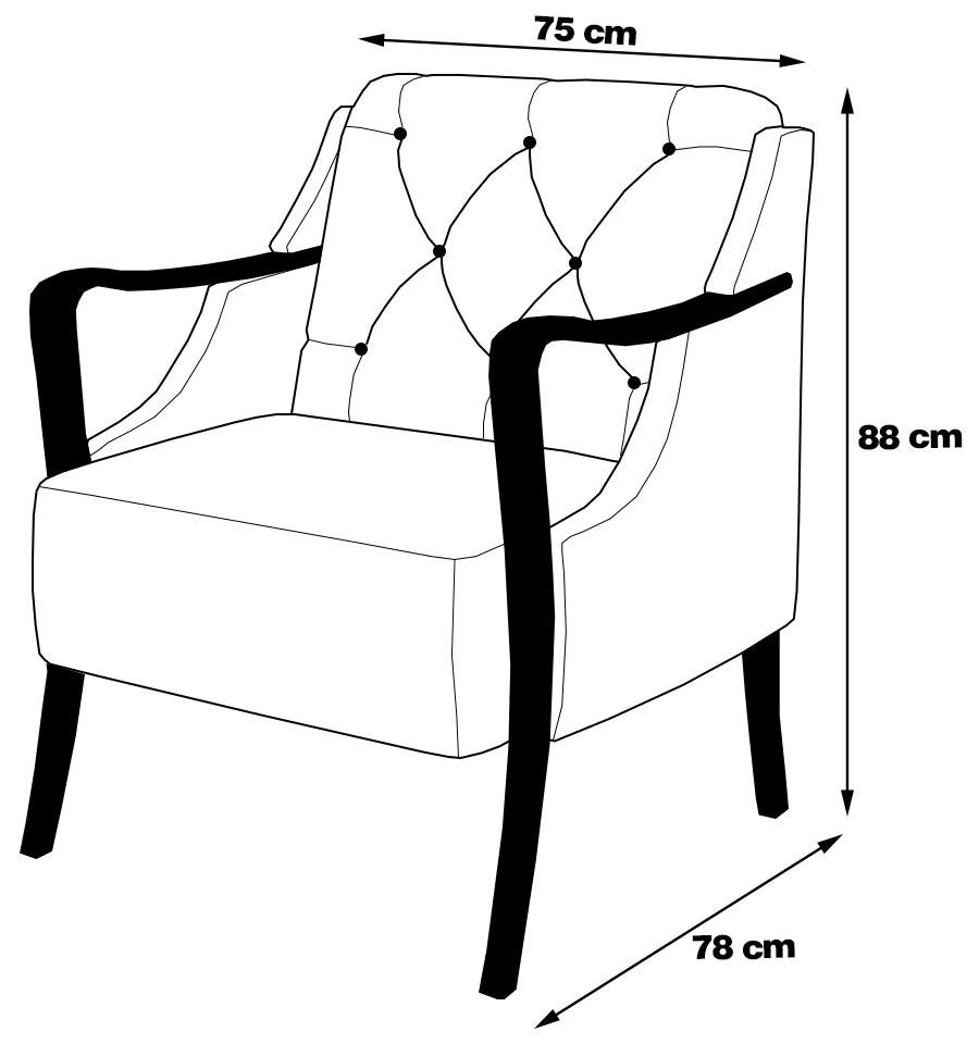 Kit 2 Poltronas Decorativas Braços em Madeira Hand Veludo Marrom G45 - Gran Belo