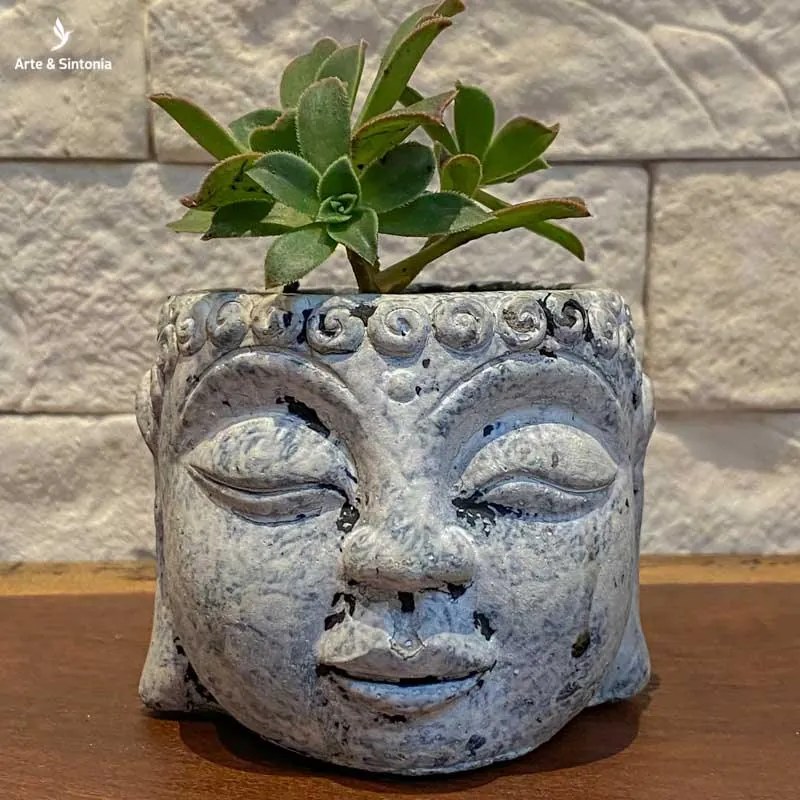 Vaso Cabeça de Buda Cimento