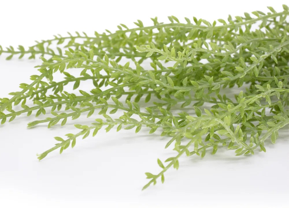 Folhagem Artificial Sedum para Pendurar com Powder Verde 44 cm F04 - D'Rossi