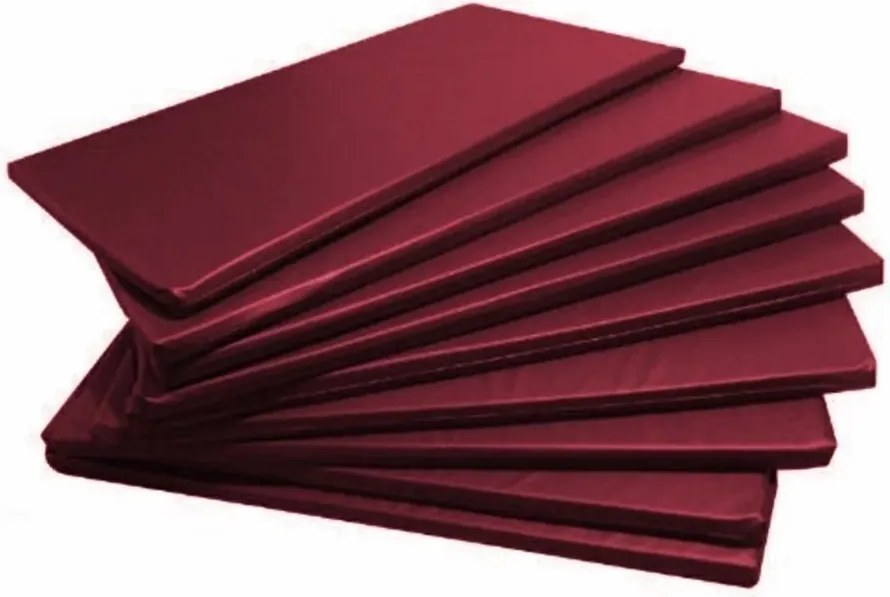 Kit 4 Colchonetes Academia Fitness Creche 120 X 60 X 4Cm Napa (Vermelho)