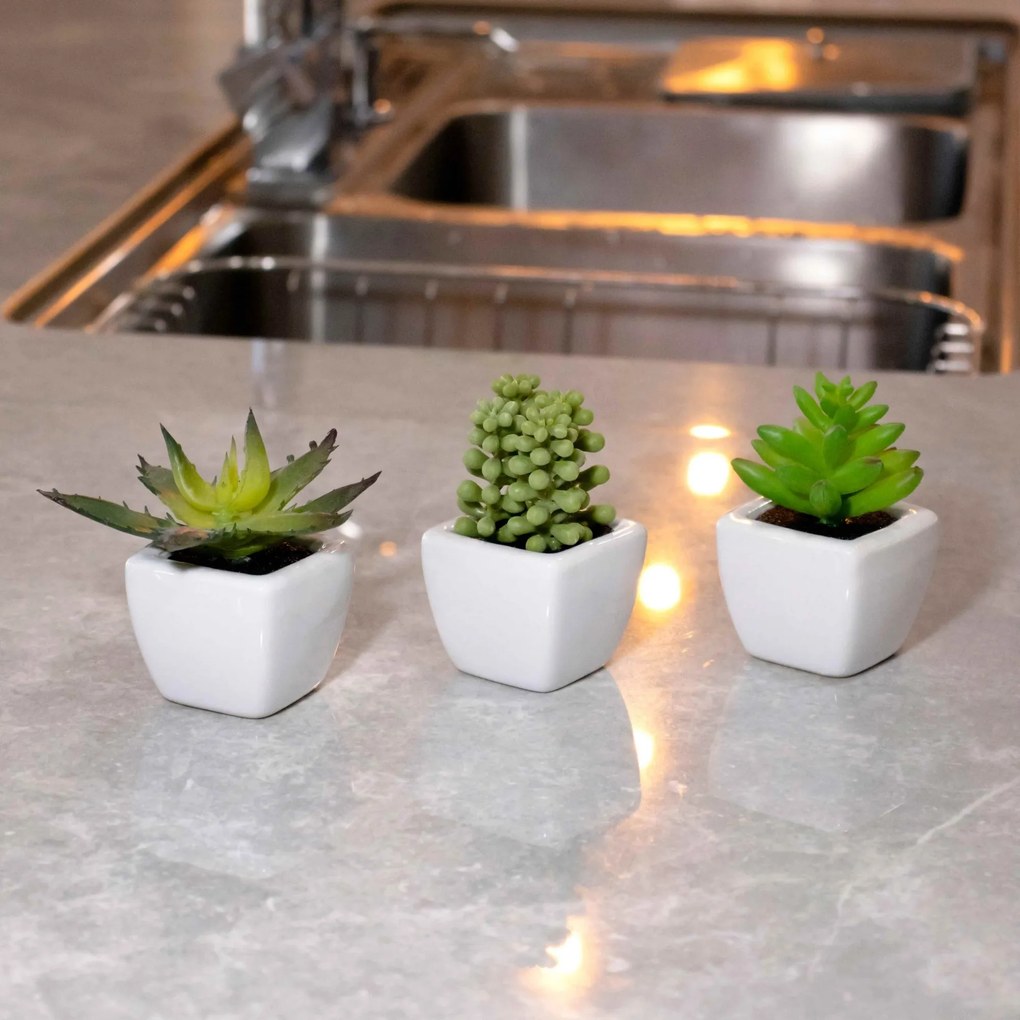 Kit 06 Suculentas Artificial Sortida Vaso Branco 8x4 cm - D'Rossi