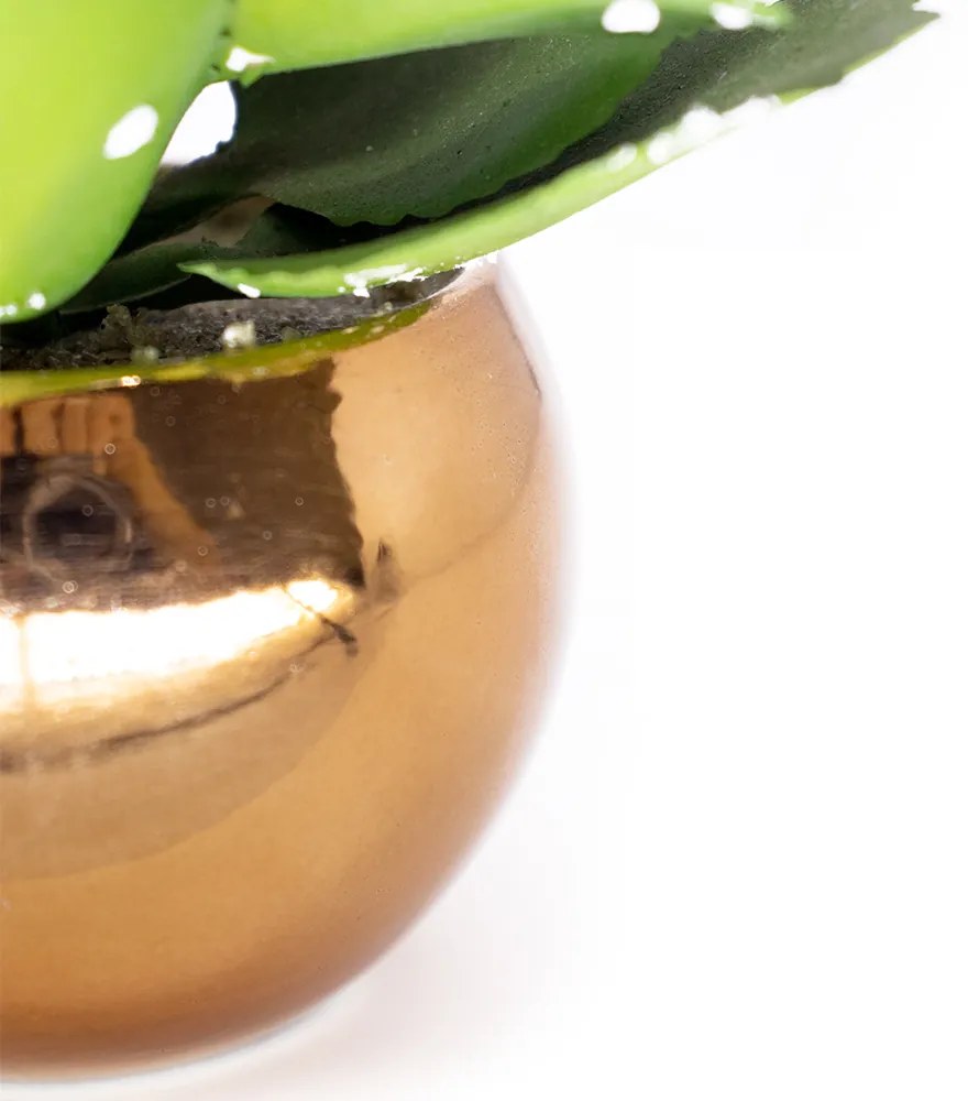 Vaso Decorativo Dourado com Suculenta Artificial Folha Baixa 15x8 cm F04 - D'Rossi