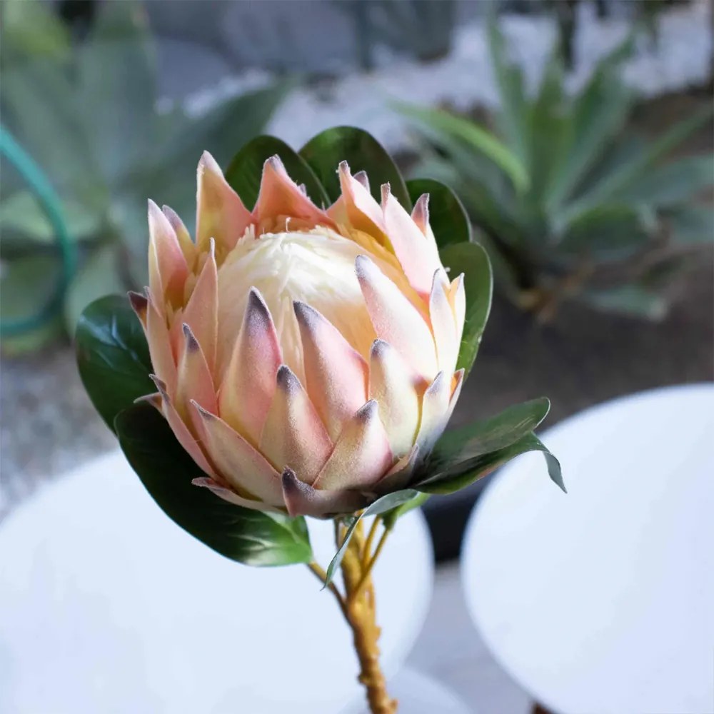 Haste de Flor Artificial Protea Frosted com Coat Salmão 70 cm F04 - D'Rossi