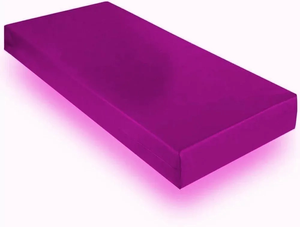 Colchão Hospitalar Em Napa D20 Orthovida Frete Grátis (Bordô)