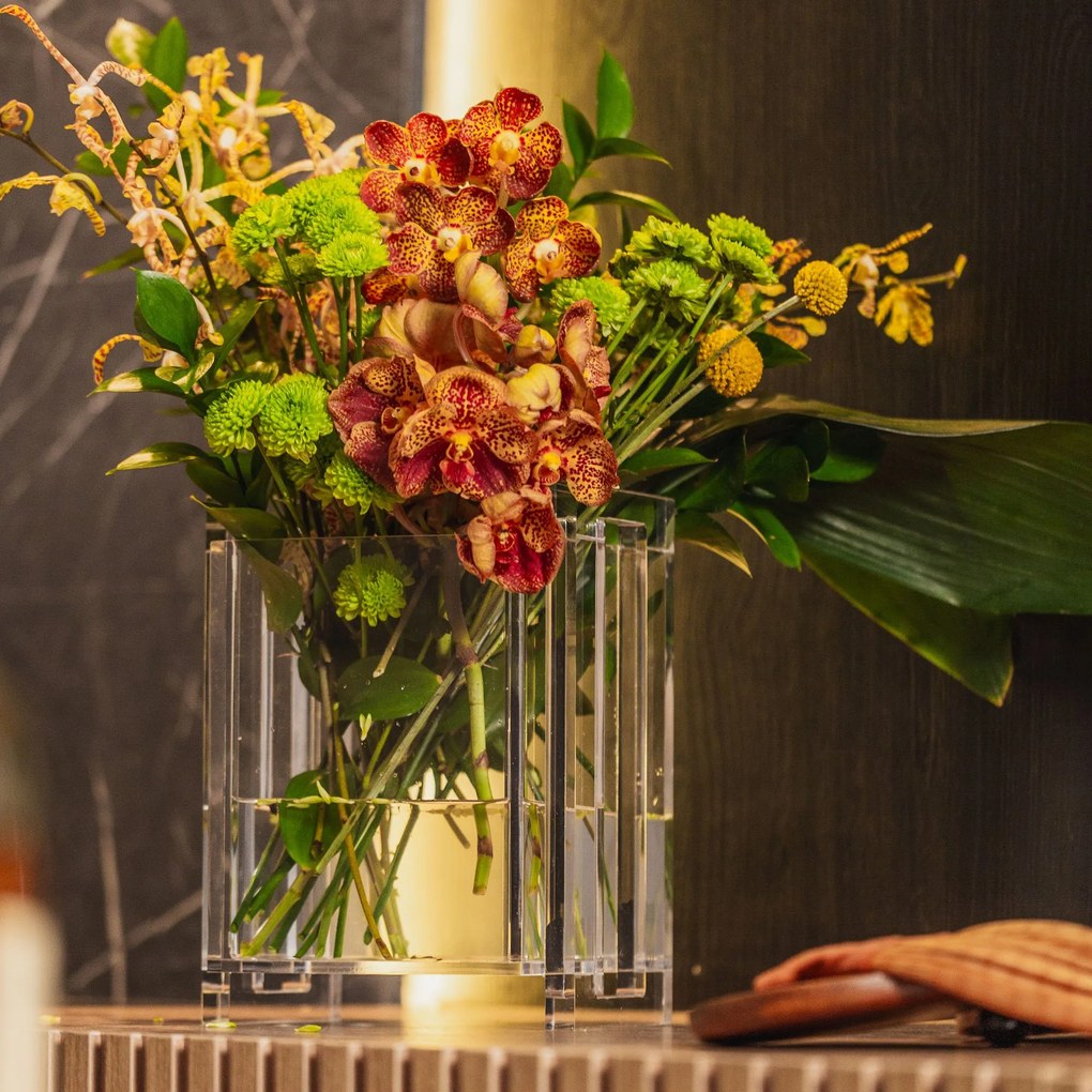 Vaso Claire - MDO1 MDO1