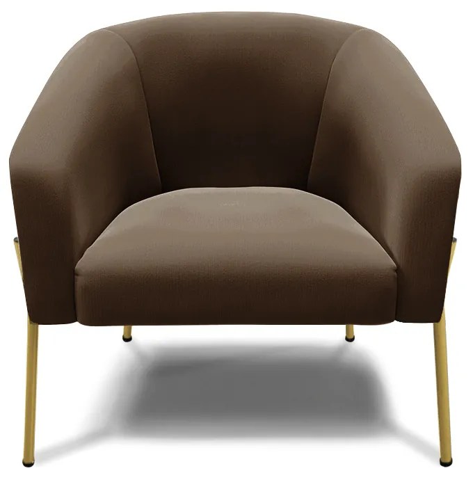 Poltrona Decorativa Pé de Ferro Dourado Kit 2 Stella Suede D03 - D'Rossi - Marrom
