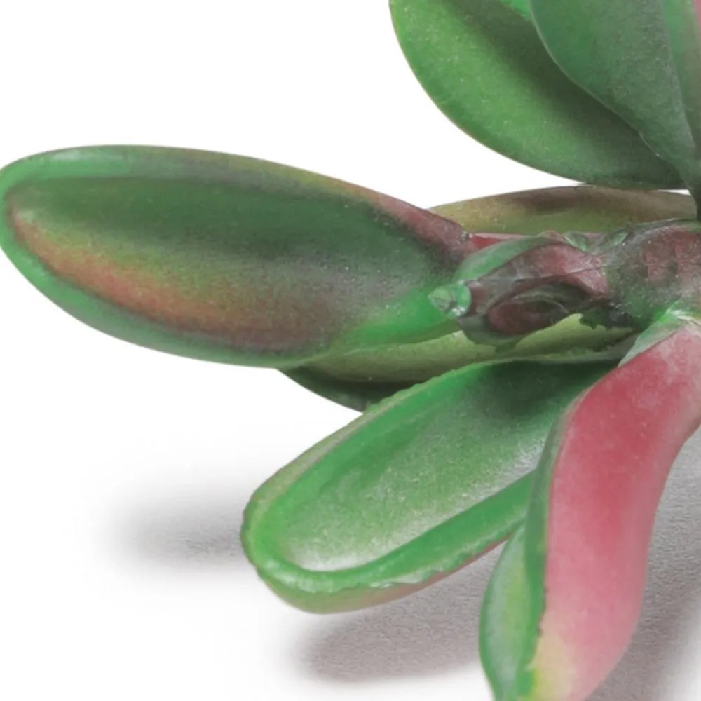 Suculenta Artificial Decorativa 10,5 x 6cm - D'Rossi