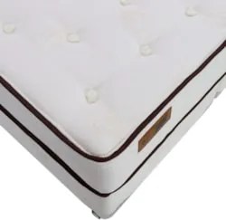 Colchão Solteiro New Aloe Vera Kingdom 88x188x32cm - Castor