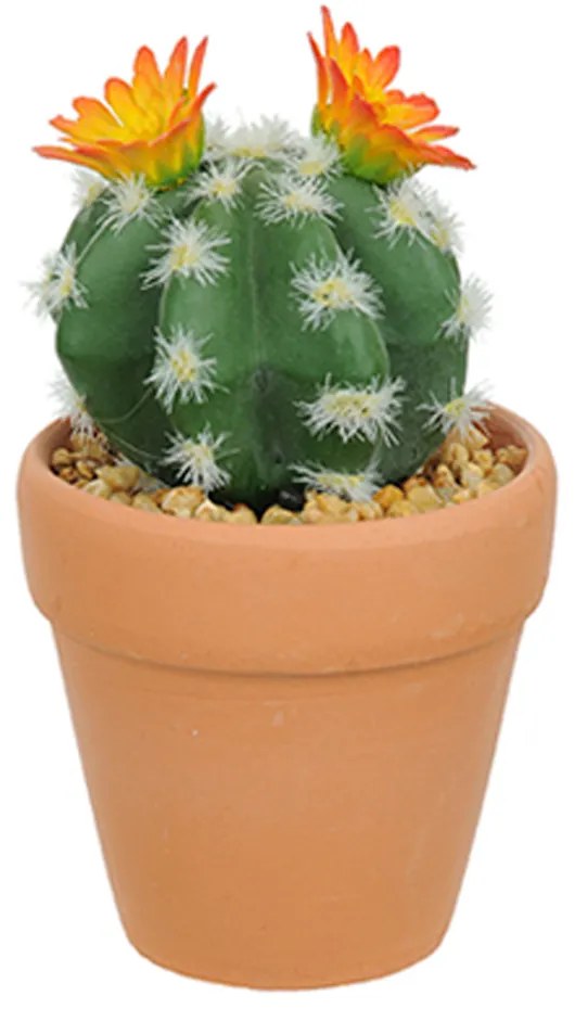 Vaso com Cacto Ferocactus Orcuttii Verde com Flor Amarela 14x6 cm - D'Rossi