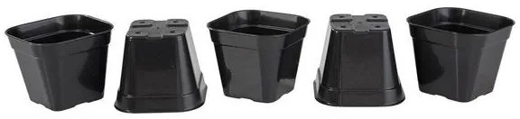 Kit Vasos Quadrados Suculentas Preto 5 Peças