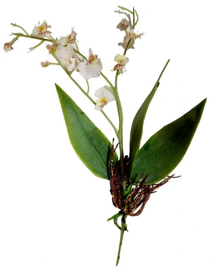 Planta Mini Cattleya Artificial Branca 34 Cm  F04 - D'Rossi