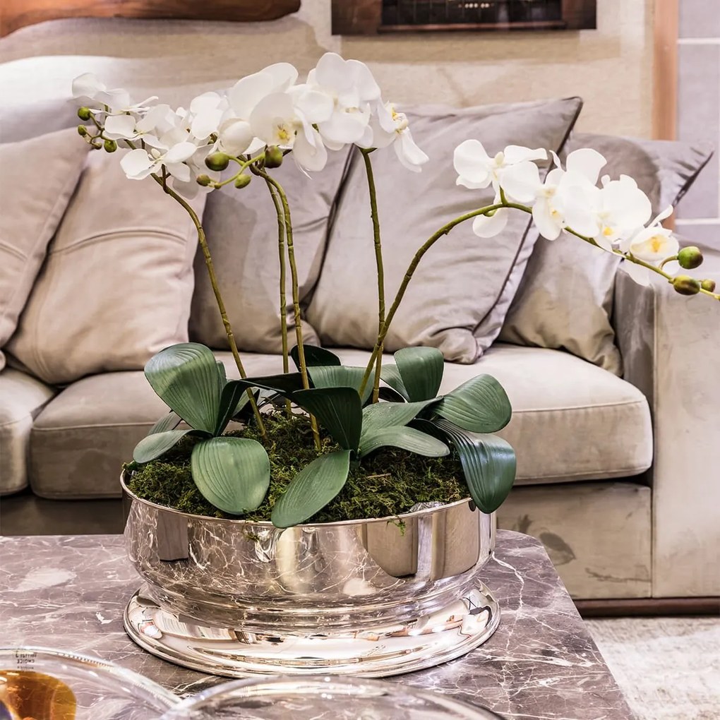 Centro de Mesa Silhouette Grande St James  Prata