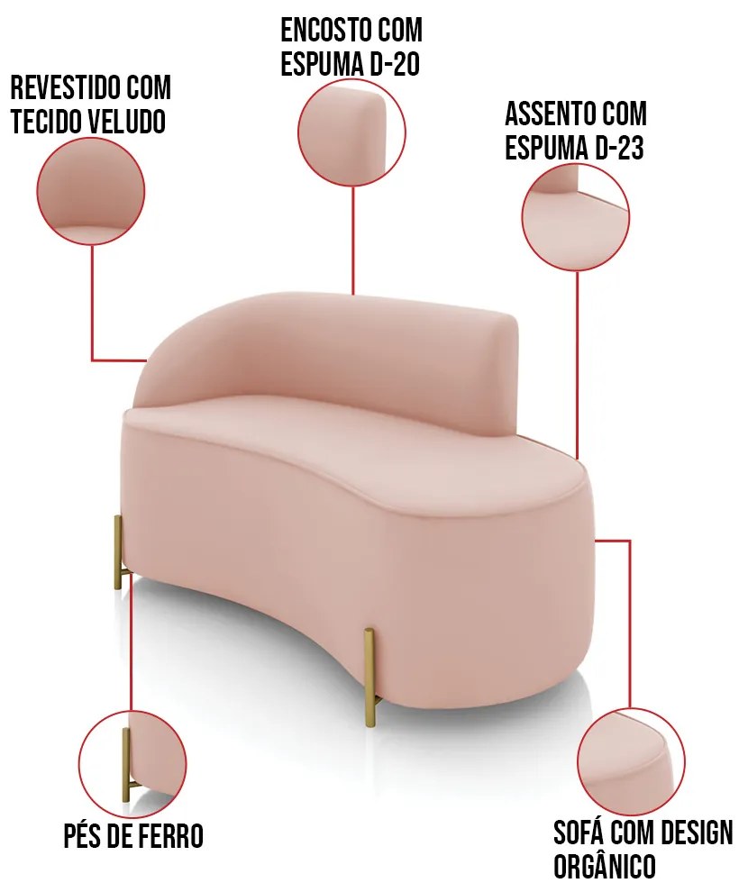 Sofá 2 Lugares Orgânico 140cm Pé Dourado Morgan Veludo D03 - D'Rossi - Rose