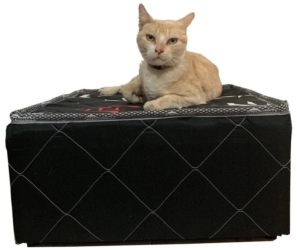 Cama Box Para Pet 60X60X22Cm Grande, Cães E Gatos Orthovida
