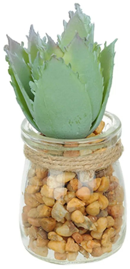 Vaso Com Suculenta Folha Alta Verde Claro 10x7 Cm - D'Rossi