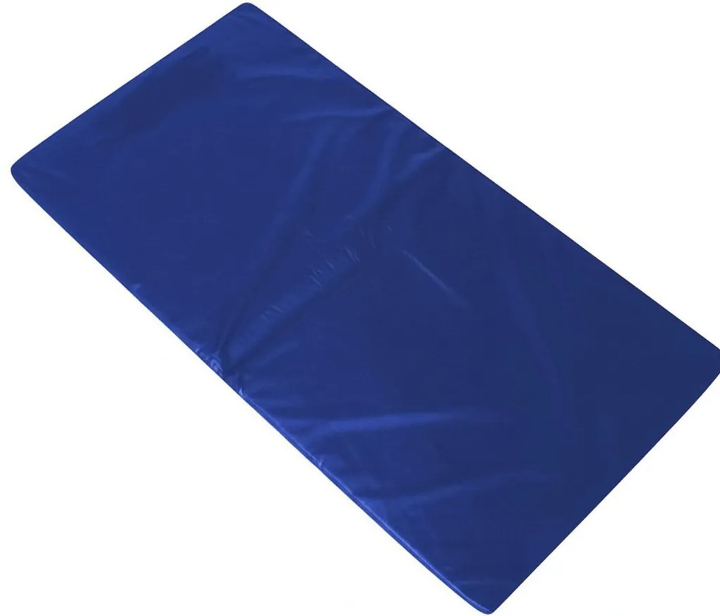 Colchonete Para Visita D26 180X60X4 Dobrável Orthovida - Azul