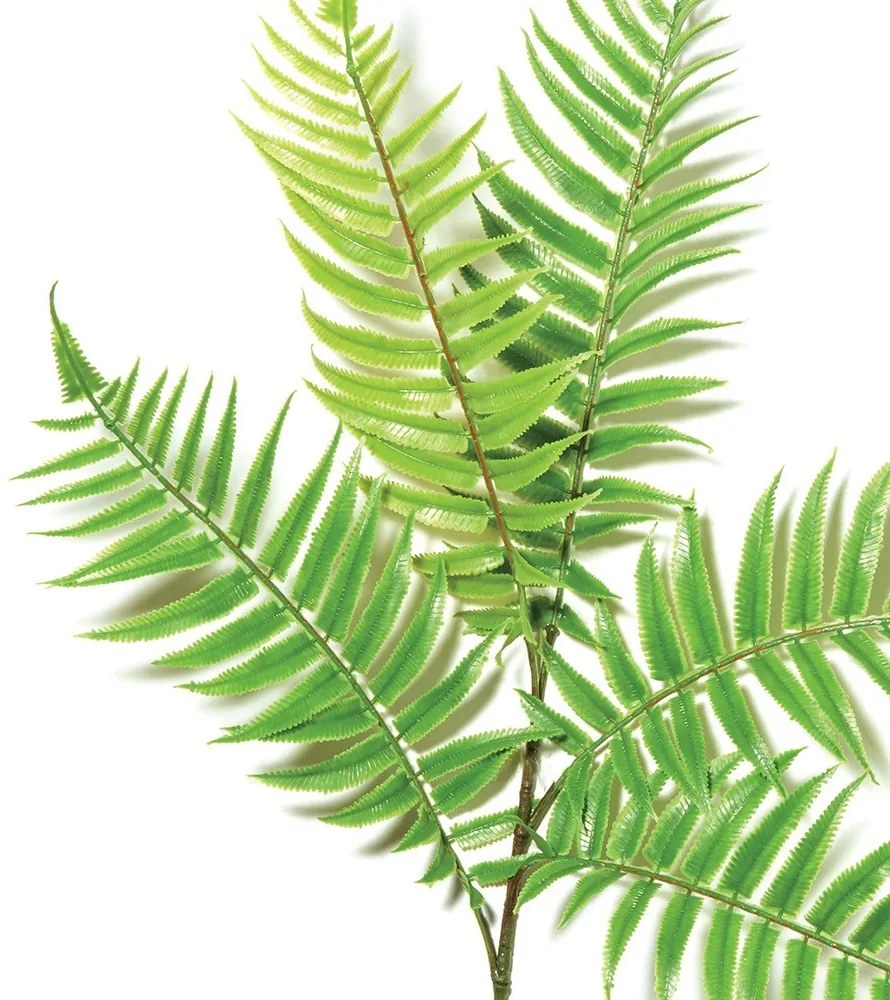 Planta Decorativa Artificial Permanente 85 cm - D'Rossi