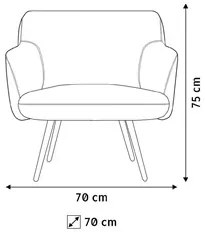 Kit 02 Poltronas Decorativas Jade Pés Alumínio C-416 Corano Tressê Lin