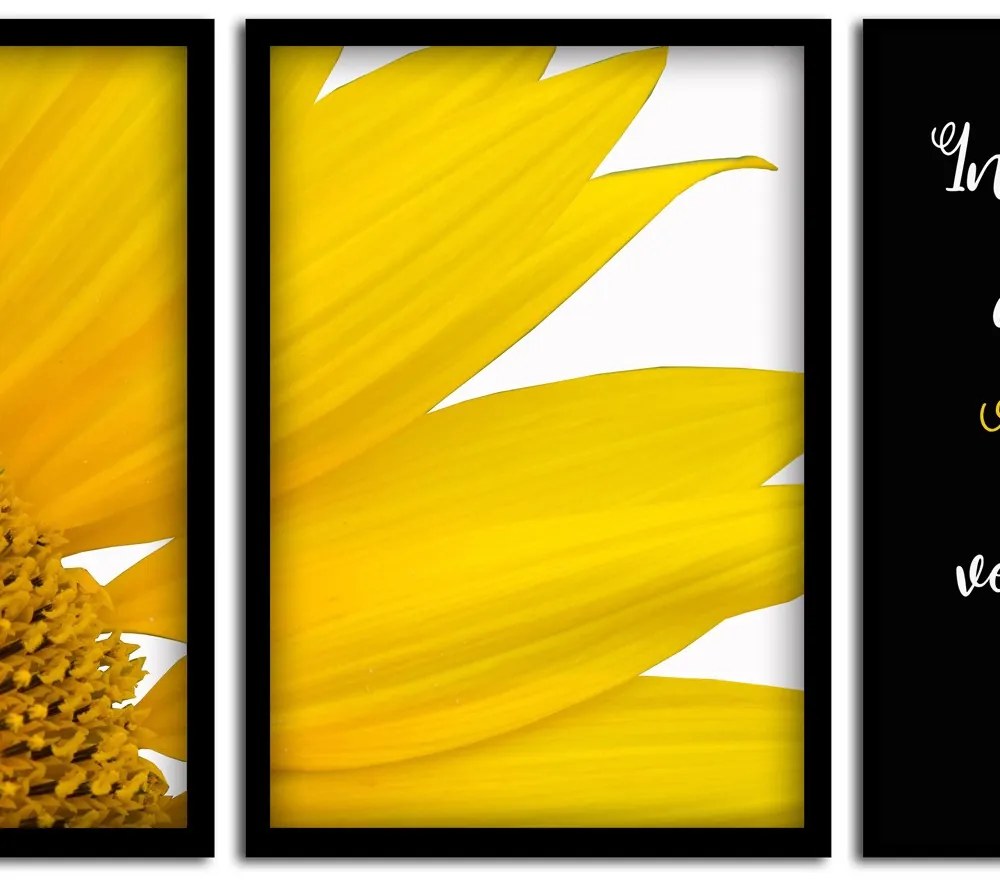 Kit 03 Quadros Decorativos "Motivação" 43x33 cm  - D'Rossi