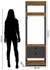 Módulo Guarda Roupa Closet Com 2 Gavetas Titan Preto Velluto/Freijó -