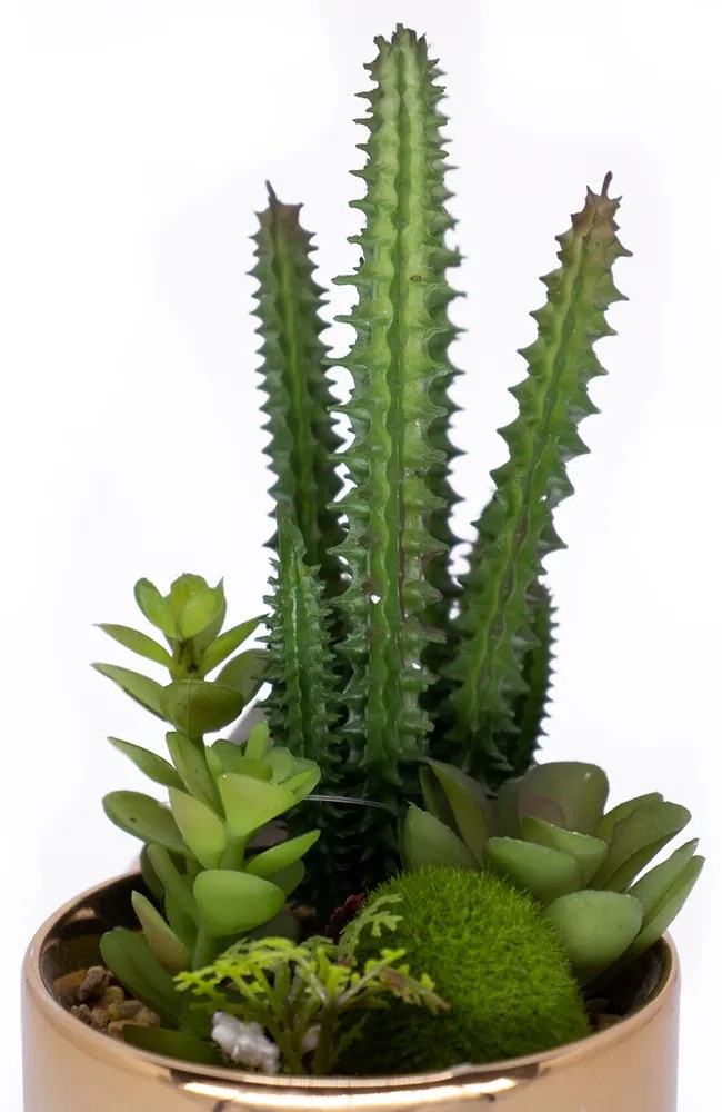 Vaso Decorativo Dourado Com Cactos e Suculenta Artificial - D'Rossi