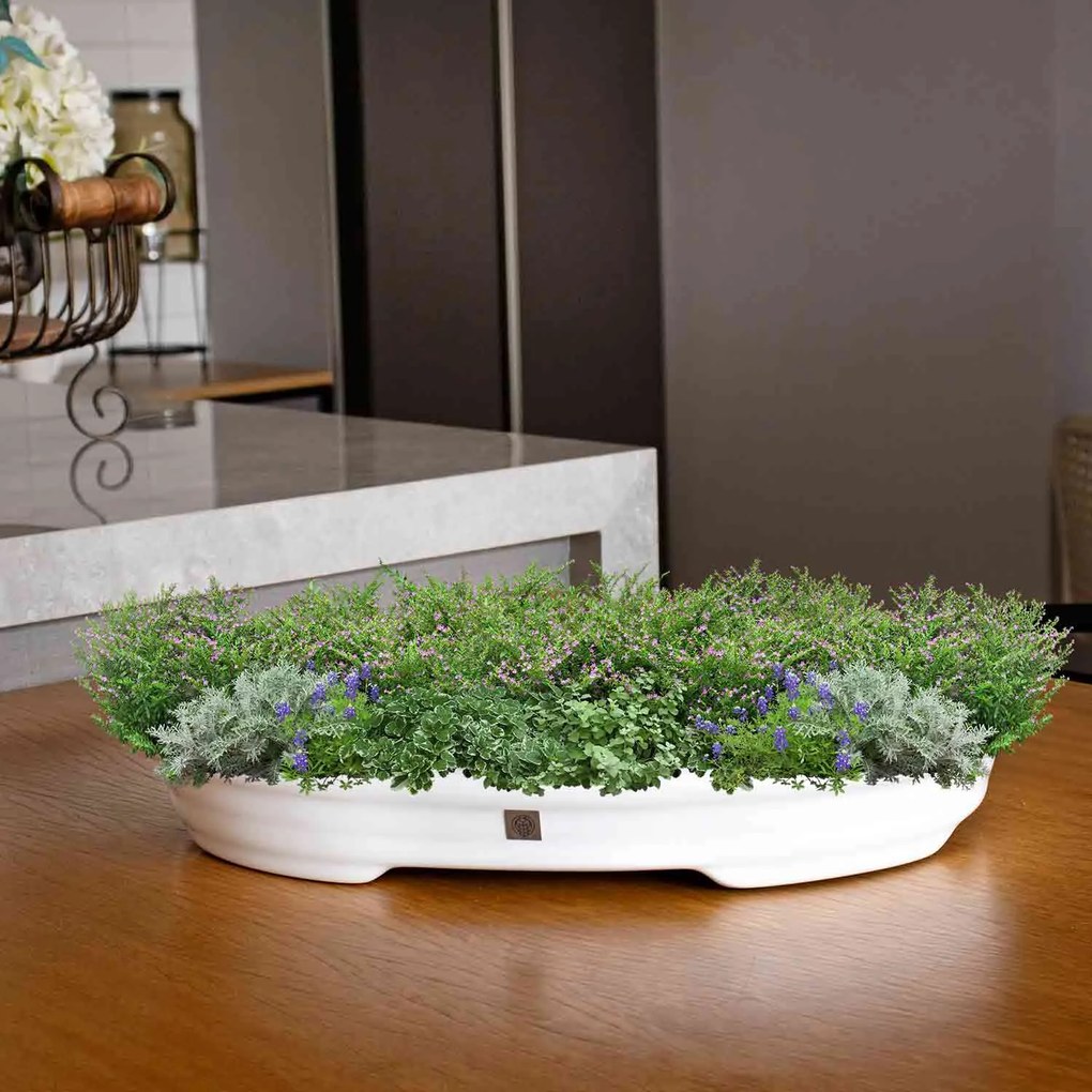 Vaso Bacia Decorativo Osaka Branco p 7x46x35 Cm B02 - D'Rossi