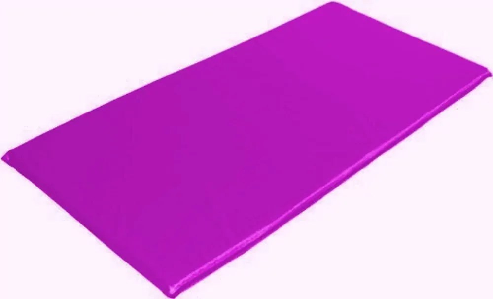 Colchonete Pra Academia Creche Escola 89X39X2,5 Cm Orthovida (Bordô)