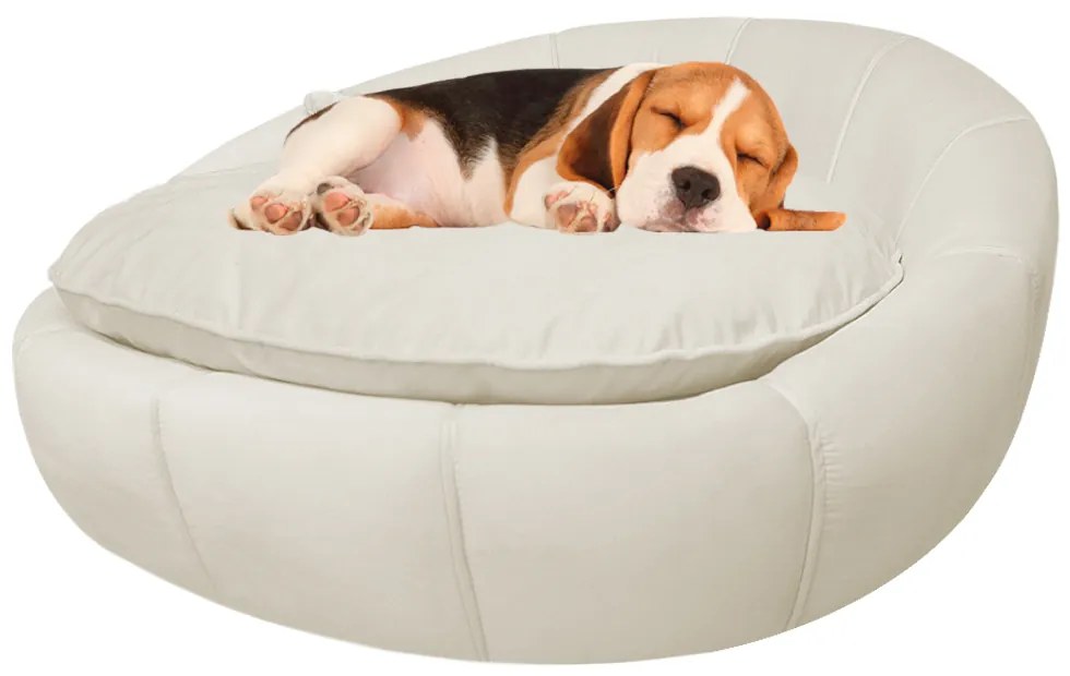 Cama Pet Ariel para Cães e Gatos Almofadada Veludo Cores - Bege