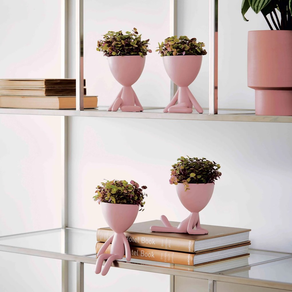 Vaso Decorativo Bob Robert Plant em Poliresina Rosa 14,5x11x12 cm - D'Rossi