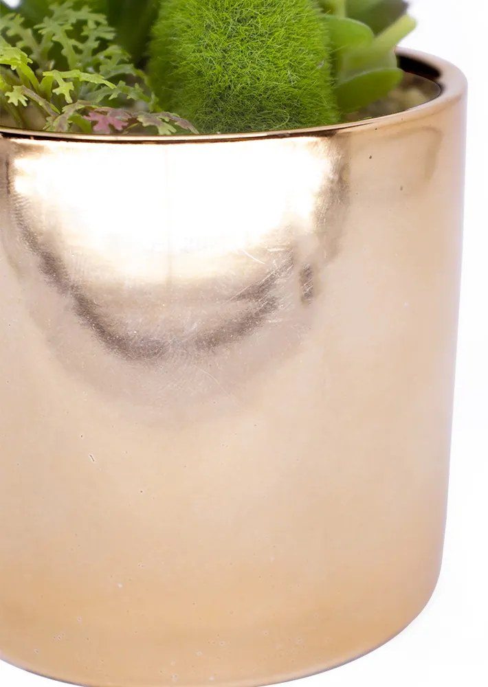 Vaso Decorativo Dourado com Suculentas Artificiais Sortidas 19x8 cm F04 - D'Rossi