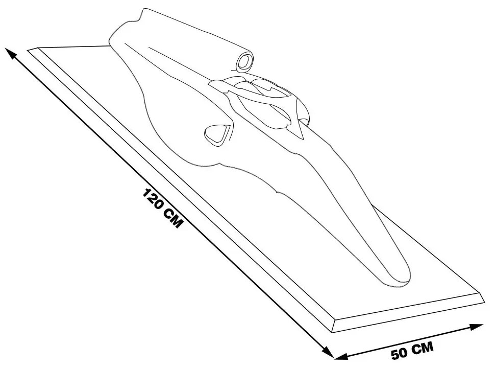 Quadro 3D Carenagem Carro F1 Cockpit RB18 MV 2022 G53 - Gran Belo