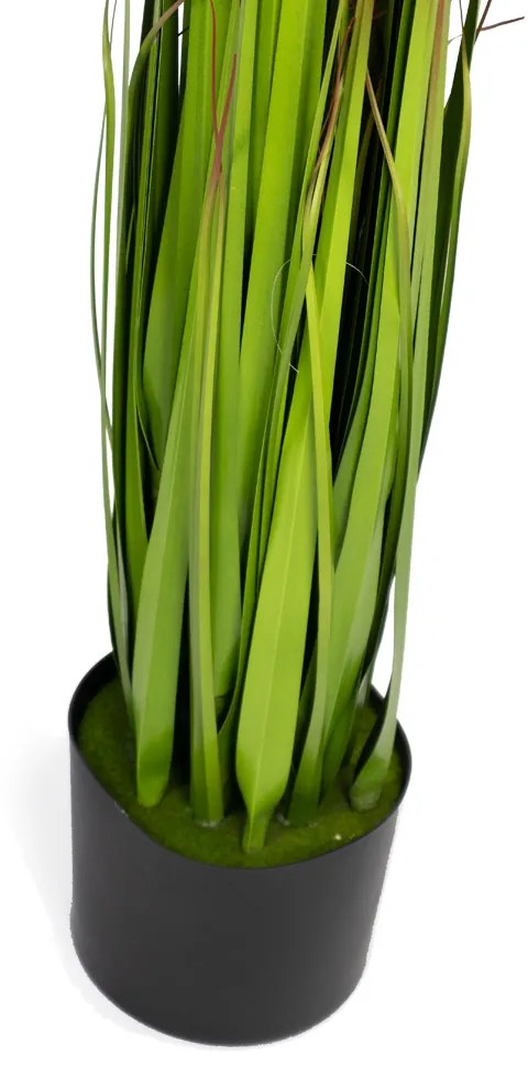 Grass Artificial Print com Pote Real Toque Verde 2T 120 cm F04 - D'Rossi