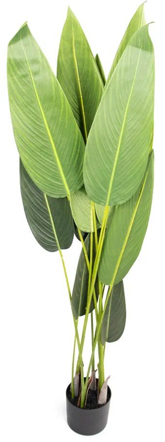 Planta Artificial Estrelícia Folhas Com Pote X12 Verde 130 Cm - D'Rossi