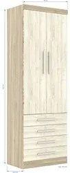 Guarda Roupa Modulado 2 Portas 4 Gavetas 191 Master Avelã Rústico/Árti