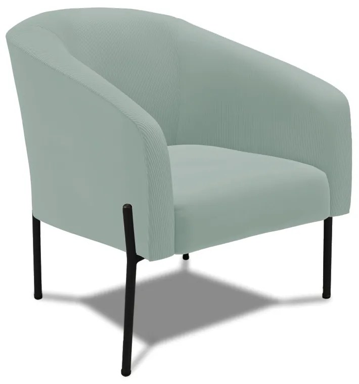 Poltrona Decorativa Pé de Ferro Preto Stella Cotelê Int/Veludo D03 - D'Rossi - Menta