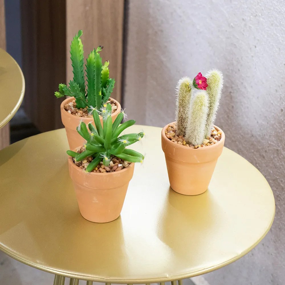 Vaso Com Cacto Barba de Velho Verde Com Flor Rosa 14x6 Cm - D'Rossi