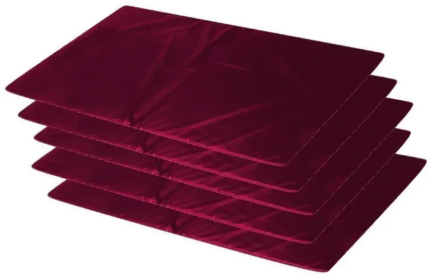 Kit 5 Colchonetes Academia - 100 X 60 X 3 - D33 - Orthovida (Vermelho)