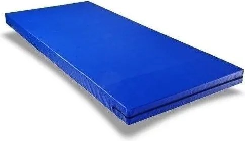 Colchonete / Colch�O Para Visita D20 180X65X4 Cm (Azul)