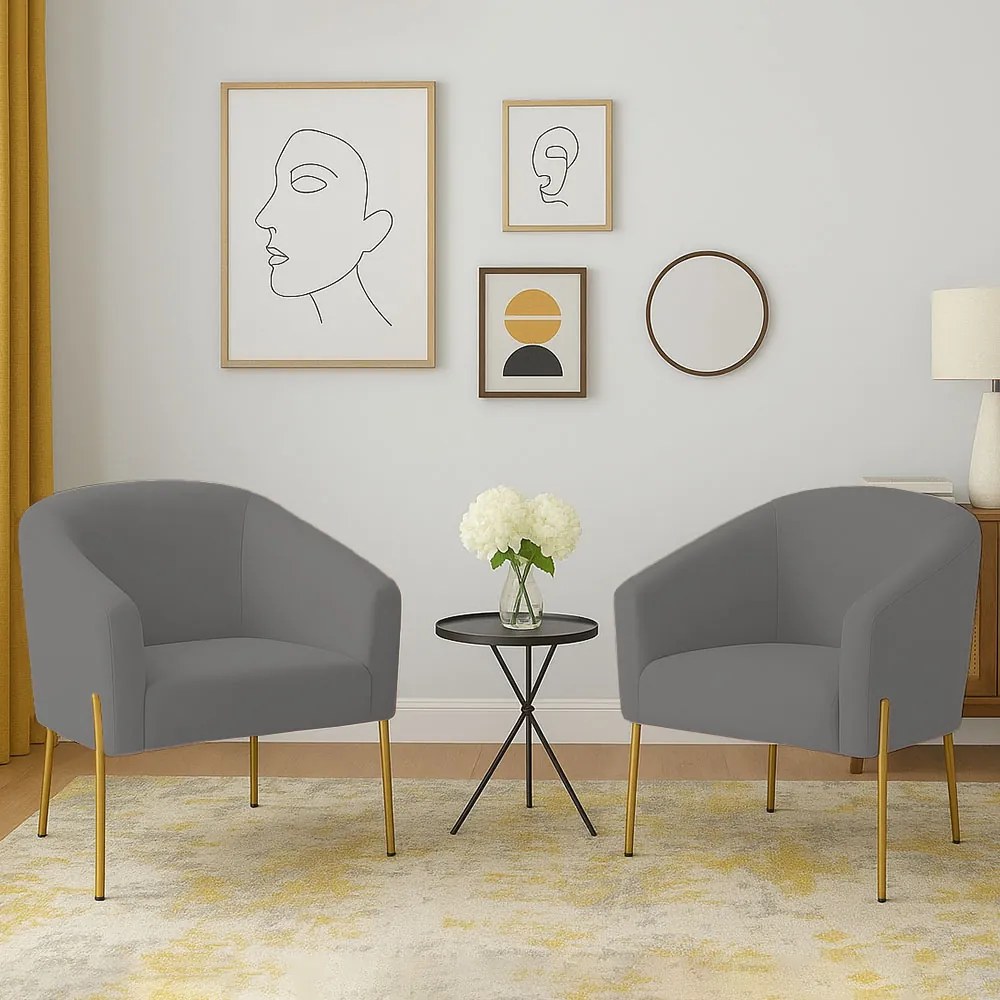 Poltrona Decorativa Pé de Ferro Dourado Kit 2 Stella Suede D03 - D'Rossi - Grafite