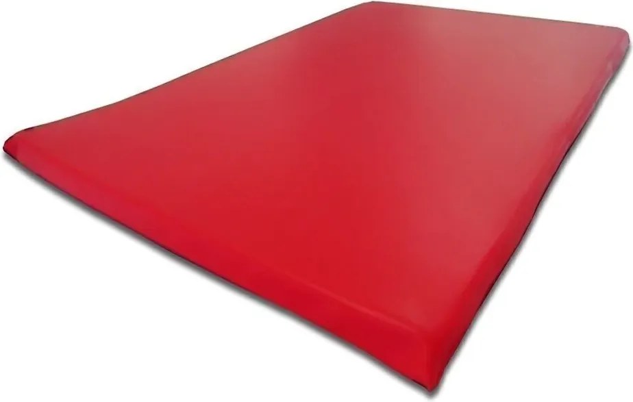 Colchonete Casal Para Visita 180X100X4Cm D33 Napa Orthovida (Bordô)